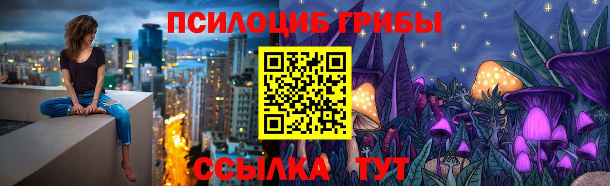 Псилоцибиновые грибы MAGIC MUSHROOMS Коряжма