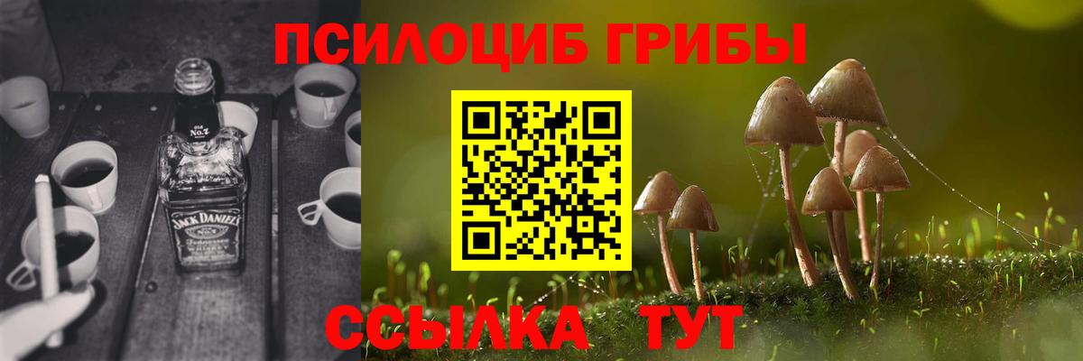 Галлюциногенные грибы мухоморы  Псилоцибиновые грибы Magic Shrooms  Вход с VPN  Коряжма 